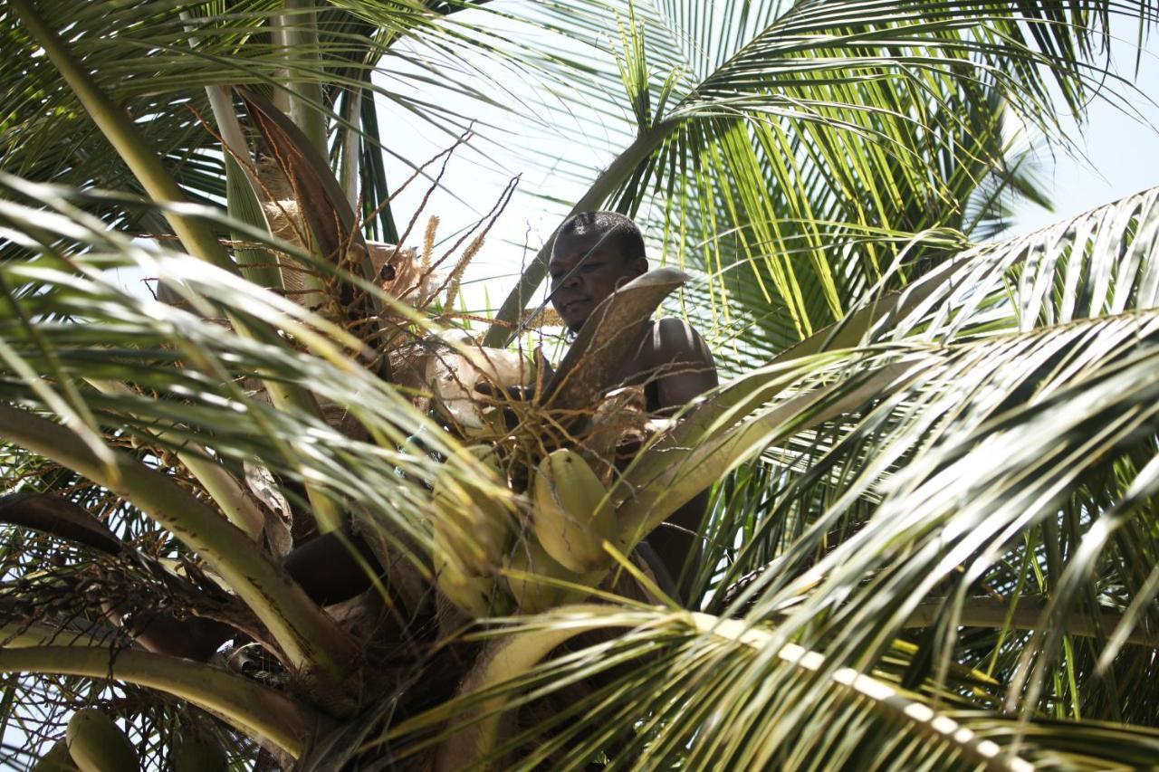 Coconut Village Beach Resort Diani Beach Bagian luar foto